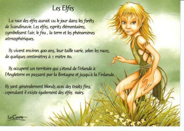 8c1qb-Elfes_1.jpg
